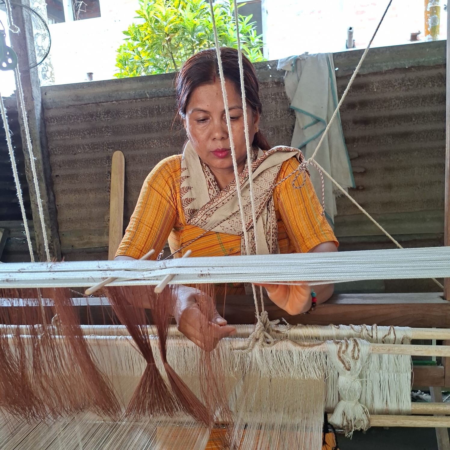 Bodoland GI Trust gallery photograph 113